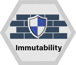 Immutability / Shield in front of a brick wall / hexagon